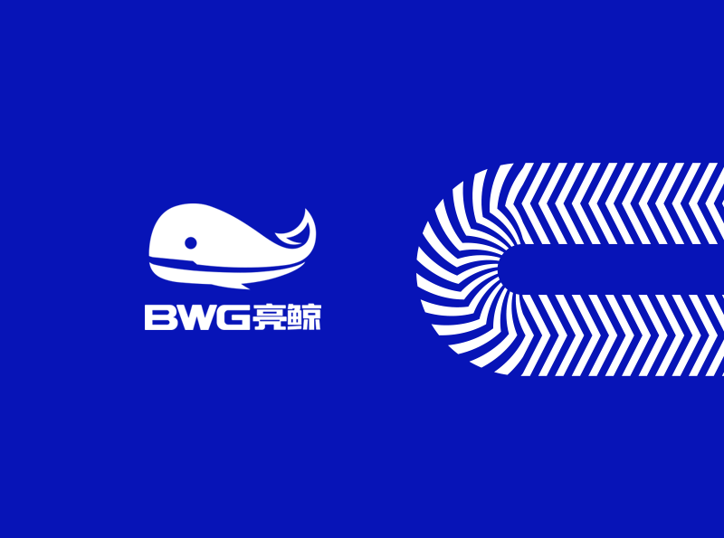 BWG亮鲸品牌形象设计